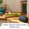 Echo Show 5 Charcoal with Adjustable Stand