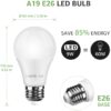 Smart LED Light Bulbs, Works with Alexa and Google Home, 60 Watt Equivalent, Dimmable with App, Warm White 2700K, No Hub Required, A19 E26, 2.4GHz WiFi, Pack of 4