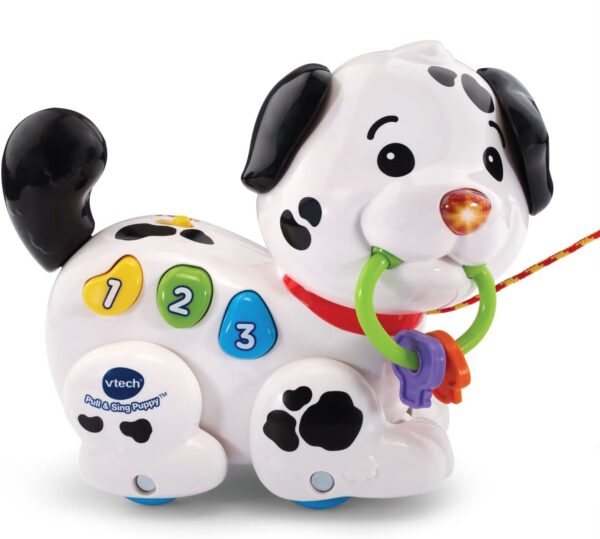 VTech Pull and Sing Puppy